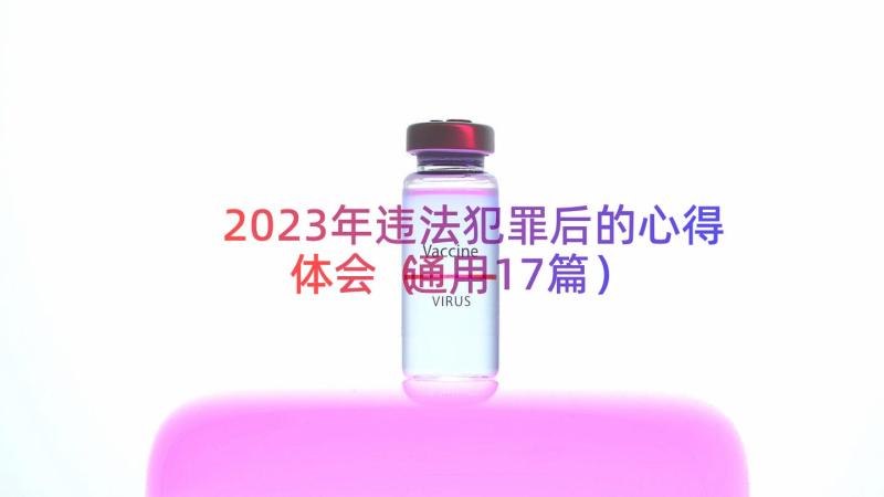 2023年违法犯罪后的心得体会（通用17篇）