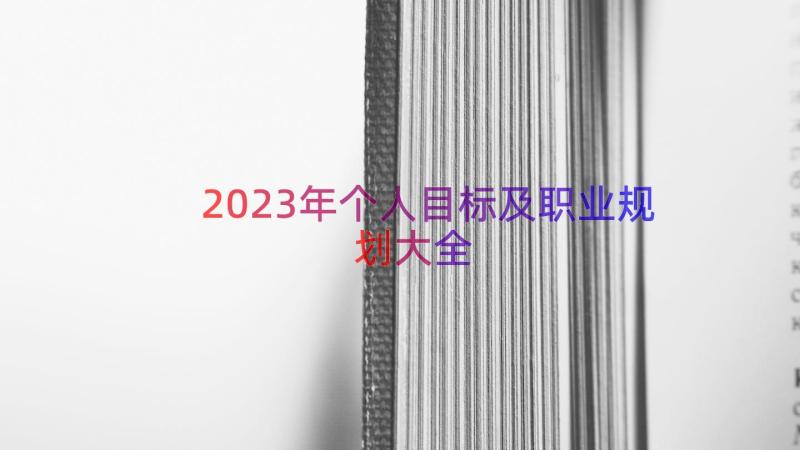 2023年个人目标及职业规划大全（14篇）