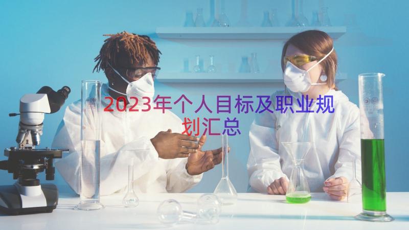 2023年个人目标及职业规划（汇总14篇）