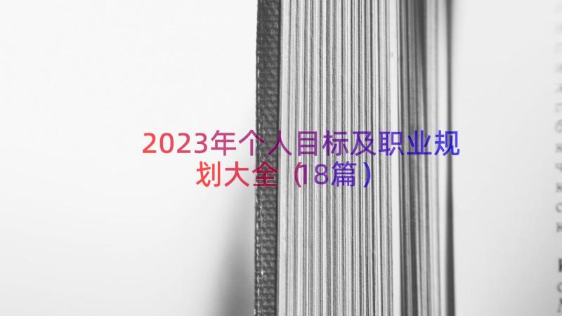 2023年个人目标及职业规划大全（18篇）