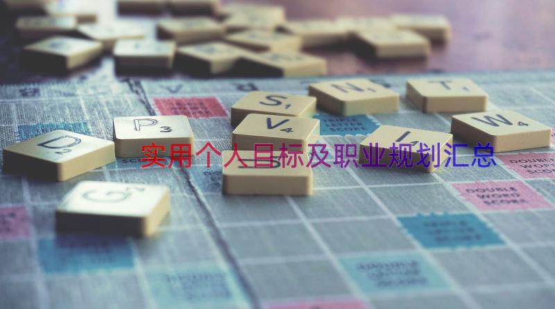 实用个人目标及职业规划（汇总16篇）