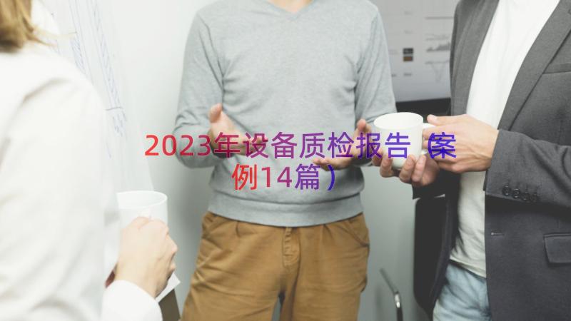 2023年设备质检报告（案例14篇）