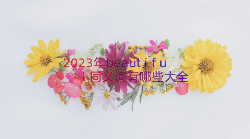 2023年beautiful同义词有哪些大全（15篇）