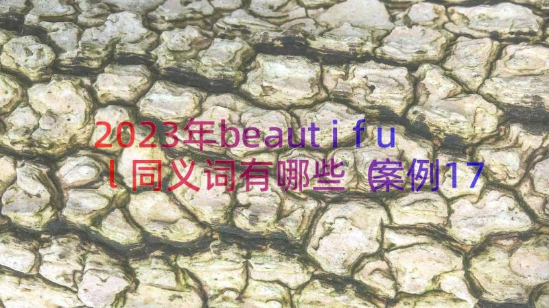 2023年beautiful同义词有哪些案例