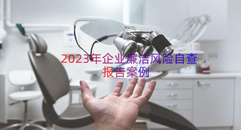 2023年企业廉洁风险自查报告（案例17篇）