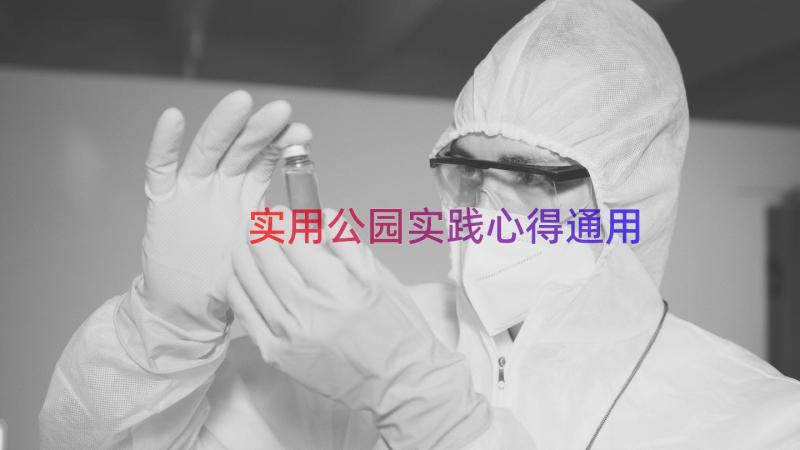 实用公园实践心得（通用17篇）