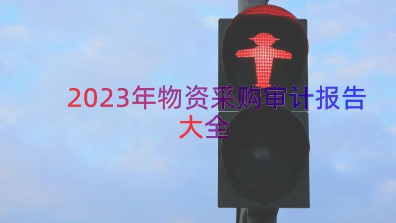 2023年物资采购审计报告大全（17篇）