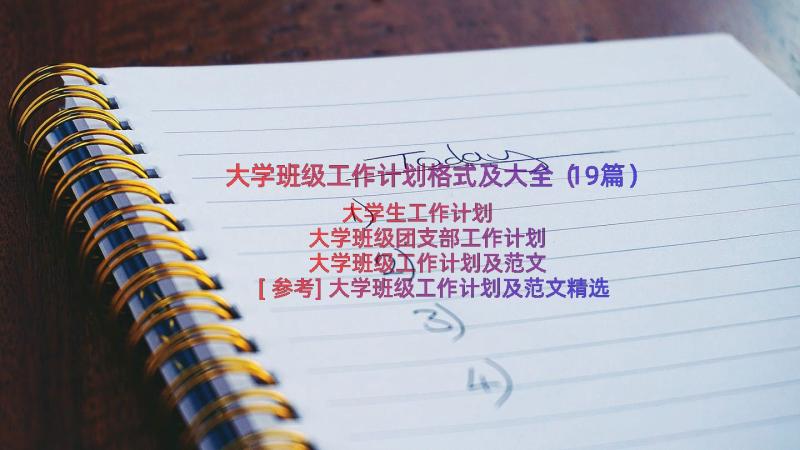 大学班级工作计划格式及大全（19篇）