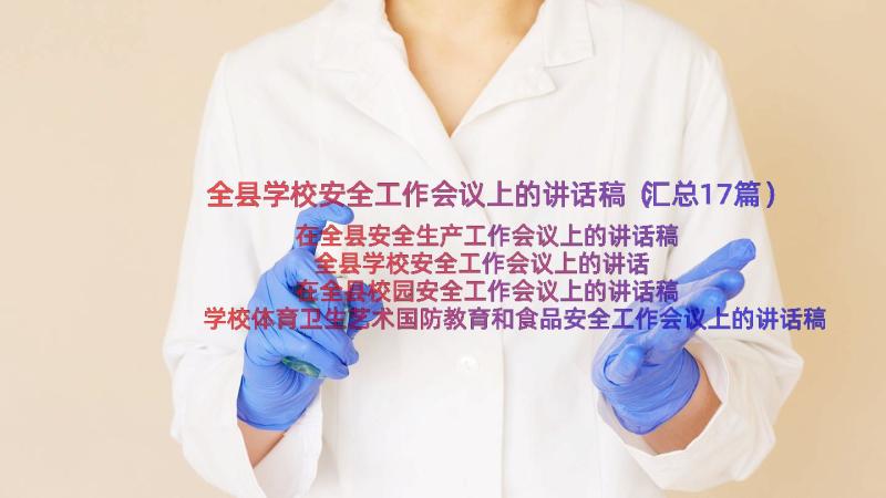 全县学校安全工作会议上的讲话稿（汇总17篇）