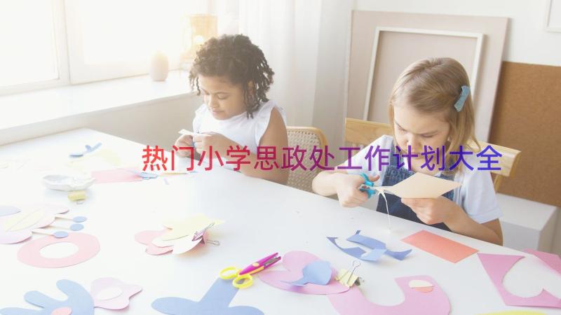 热门小学思政处工作计划大全（17篇）