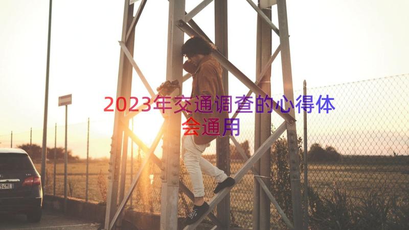 2023年交通调查的心得体会（通用12篇）