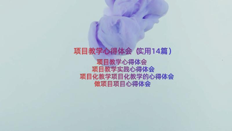 项目教学心得体会（实用14篇）