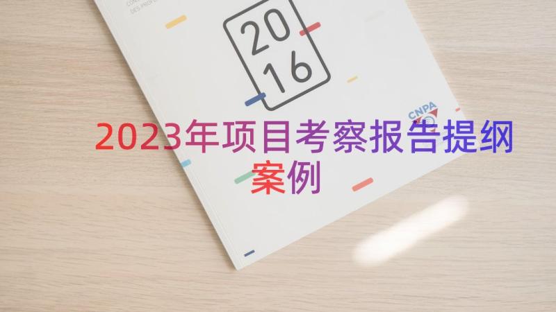 2023年项目考察报告提纲（案例14篇）