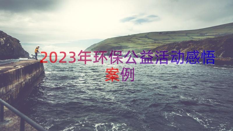 2023年环保公益活动感悟（案例13篇）