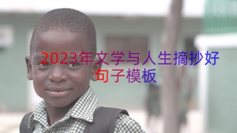 2023年文学与人生摘抄好句子（模板13篇）