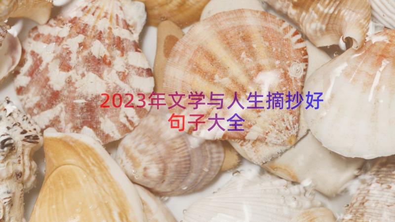 2023年文学与人生摘抄好句子大全（13篇）