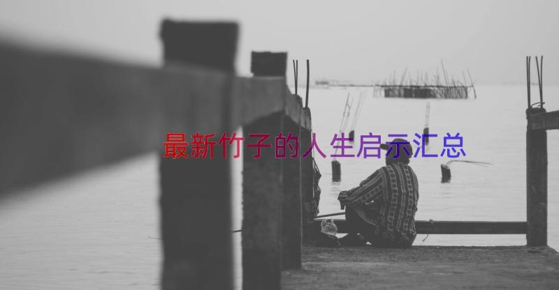 最新竹子的人生启示（汇总14篇）