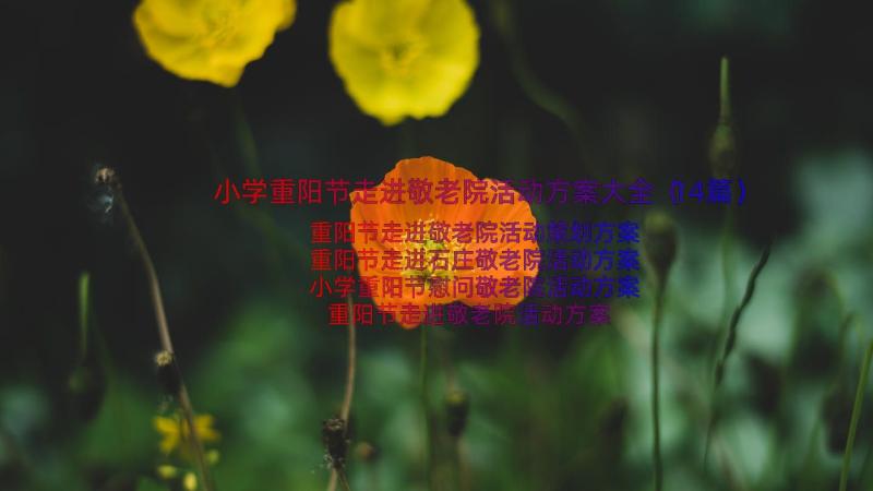 小学重阳节走进敬老院活动方案大全（14篇）