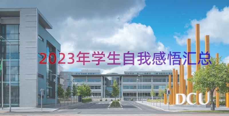 2023年学生自我感悟（汇总12篇）