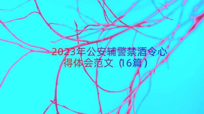 2023年公安辅警禁酒令心得体会范文（16篇）