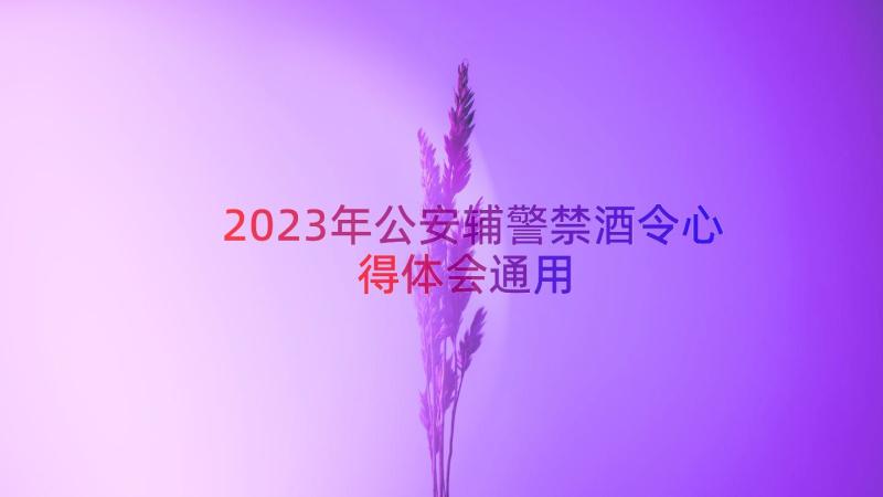 2023年公安辅警禁酒令心得体会（通用15篇）