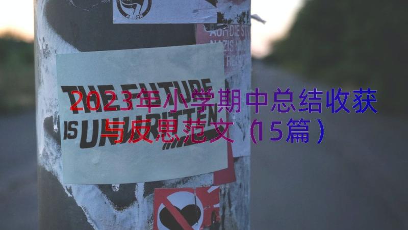 2023年小学期中总结收获与反思范文（15篇）