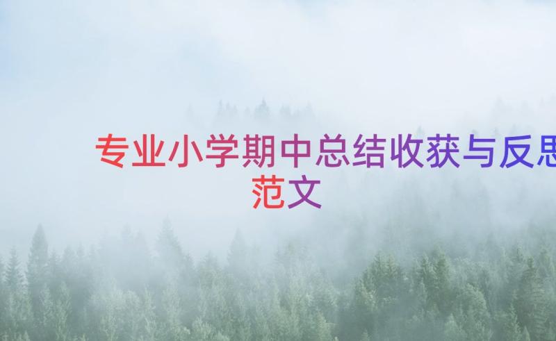 专业小学期中总结收获与反思范文（16篇）