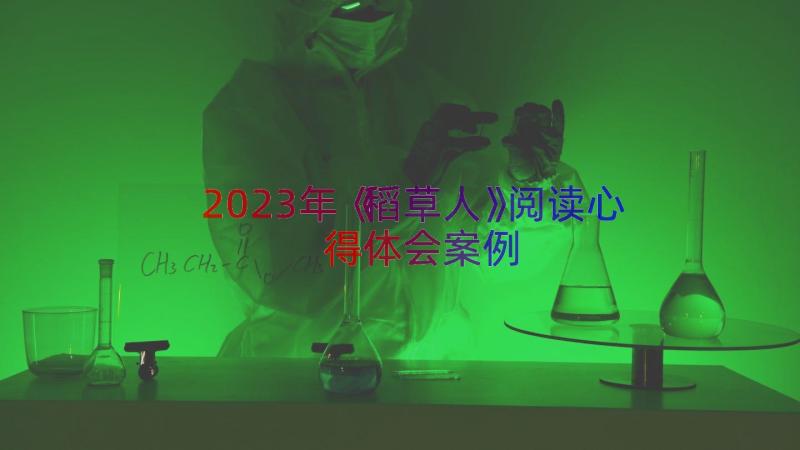 2023年《稻草人》阅读心得体会（案例12篇）