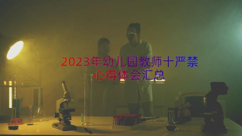 2023年幼儿园教师十严禁心得体会（汇总16篇）