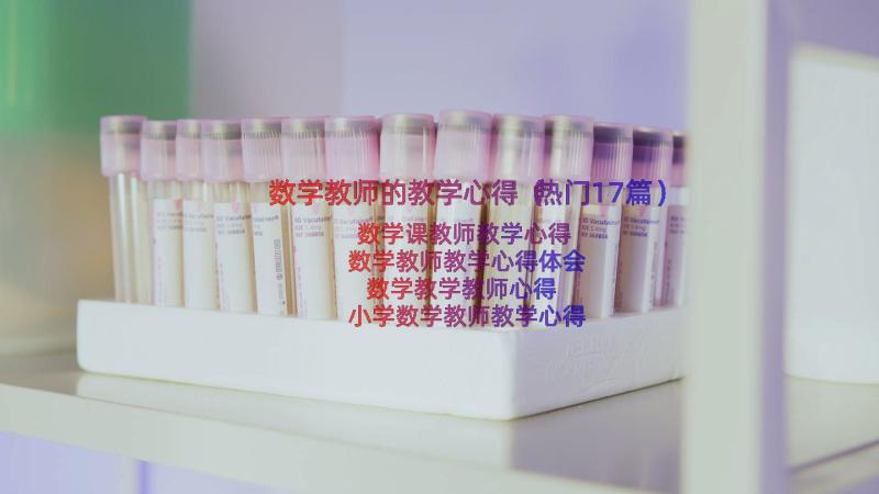 数学教师的教学心得（热门17篇）