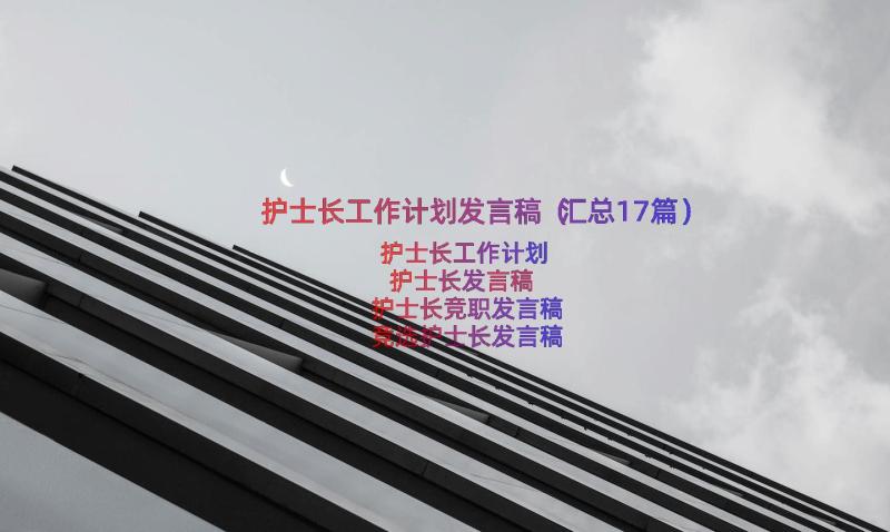 护士长工作计划发言稿（汇总17篇）