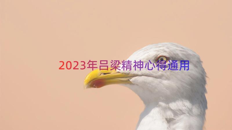 2023年吕梁精神心得（通用16篇）