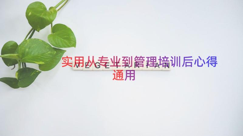 实用从专业到管理培训后心得（通用17篇）