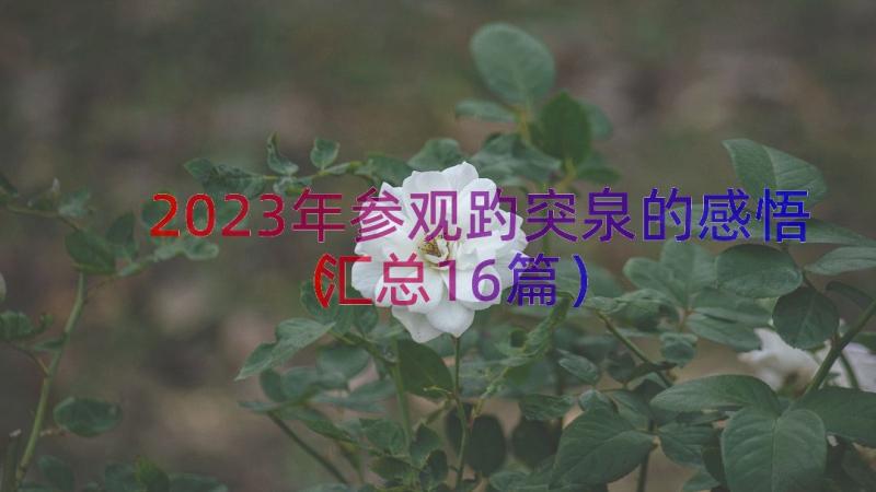 2023年参观趵突泉的感悟（汇总16篇）