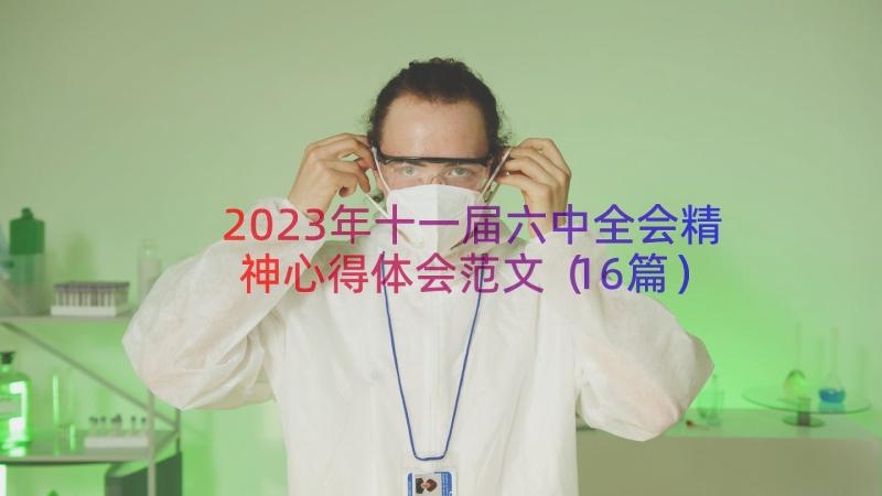 2023年十一届六中全会精神心得体会范文（16篇）