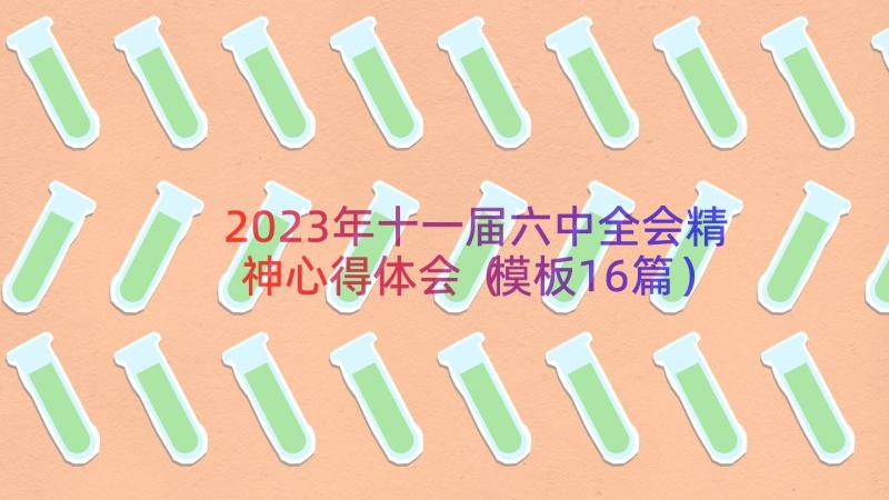 2023年十一届六中全会精神心得体会（模板16篇）