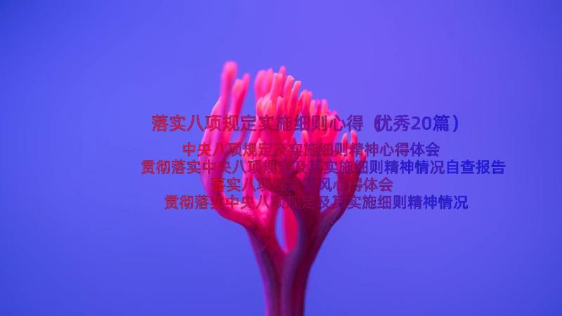 落实八项规定实施细则心得（优秀20篇）