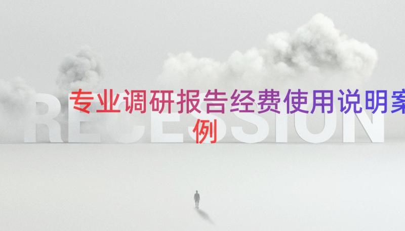 专业调研报告经费使用说明（案例13篇）