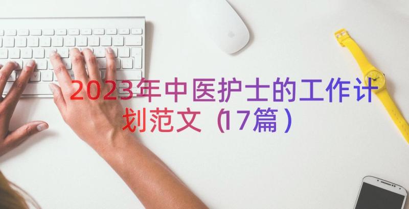 2023年中医护士的工作计划范文（17篇）