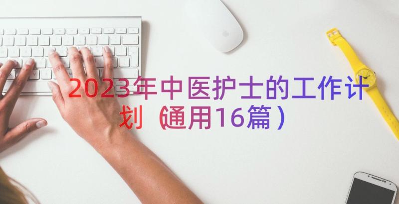 2023年中医护士的工作计划（通用16篇）