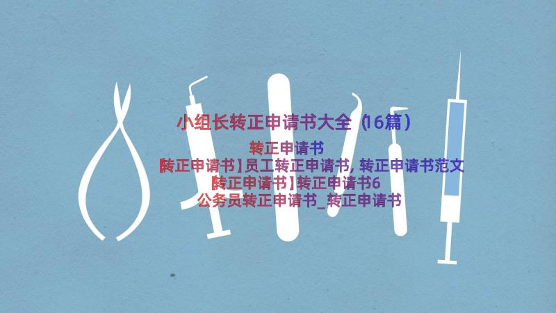 小组长转正申请书大全（16篇）