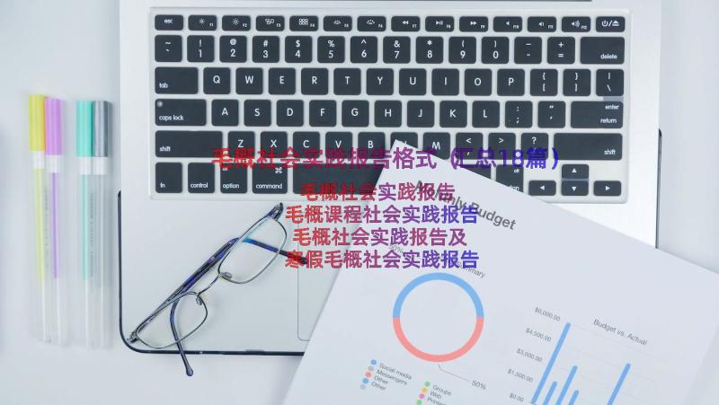 毛概社会实践报告格式（汇总18篇）