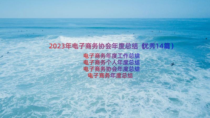 2023年电子商务协会年度总结（优秀14篇）