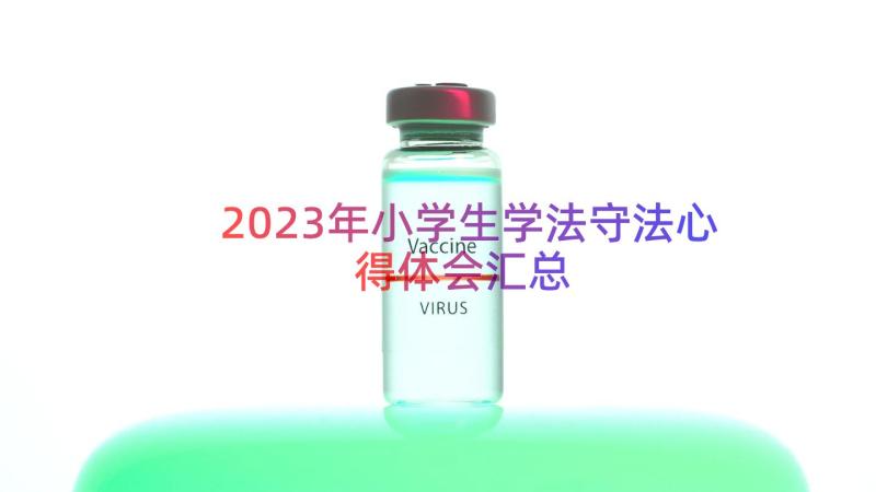 2023年小学生学法守法心得体会（汇总15篇）