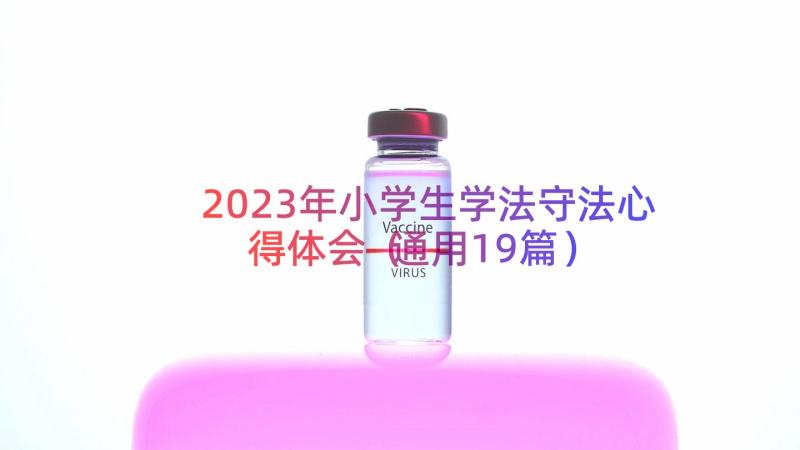 2023年小学生学法守法心得体会（通用19篇）