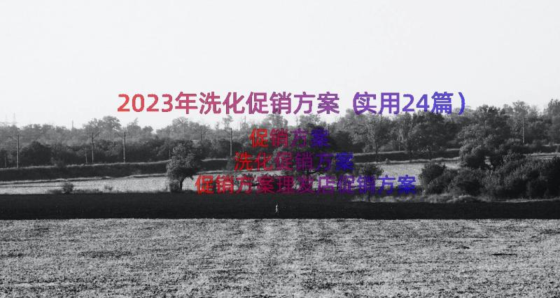 2023年洗化促销方案（实用24篇）