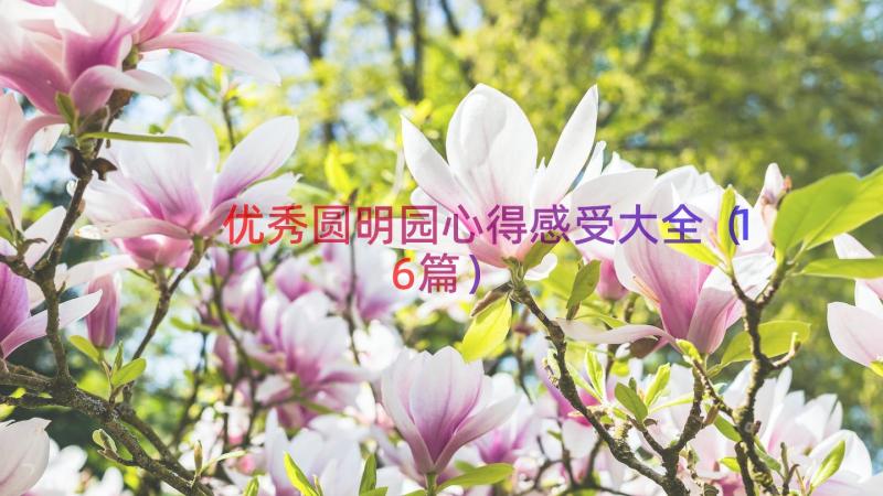 优秀圆明园心得感受大全（16篇）