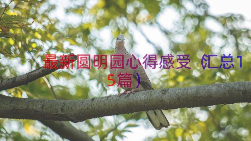 最新圆明园心得感受（汇总15篇）