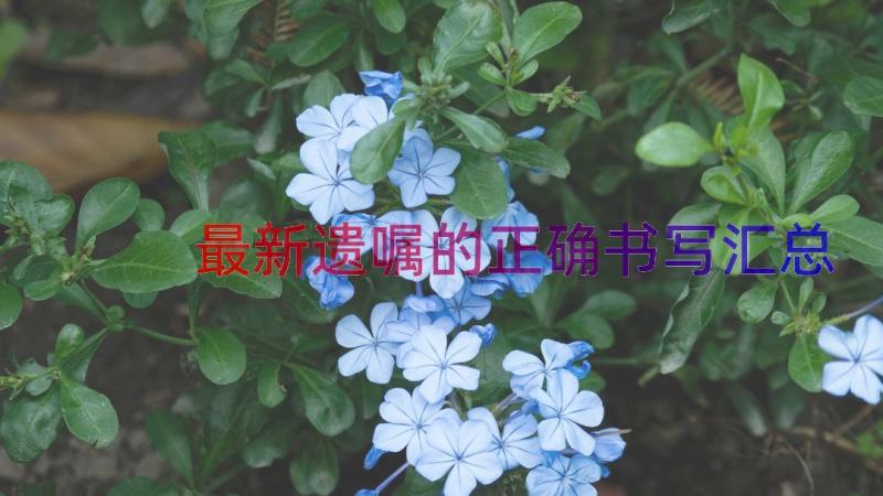 最新遗嘱的正确书写（汇总17篇）