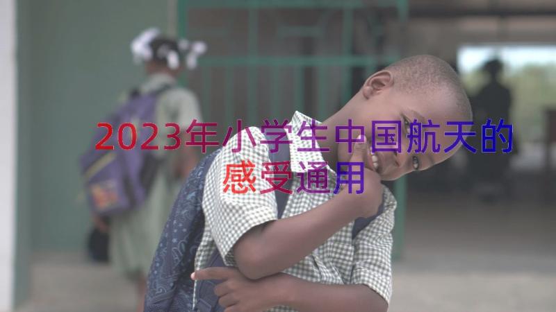 2023年小学生中国航天的感受（通用12篇）